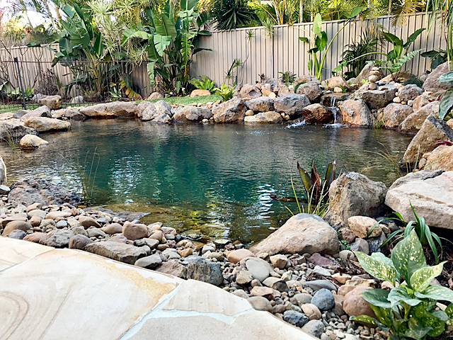 Natural ecosystem swim pond with stone surround