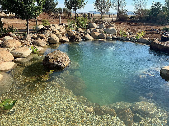 Natural swim pond with boulder surround and clear water