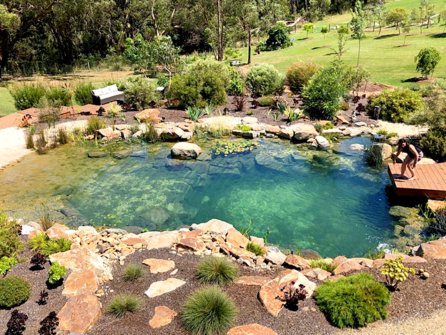 Aerial view of ecosystem swim pond with lush landscaping