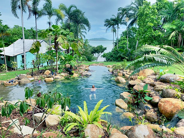 Tropical swim pond with palm trees and ocean views